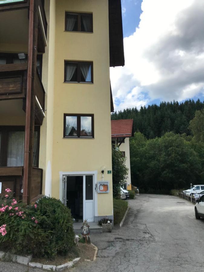 Eisenstein Apartamento Bayerisch Eisenstein Exterior foto